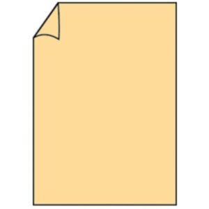 Briefbogen Paperado - A4, 100 g/qm, melon gerippt