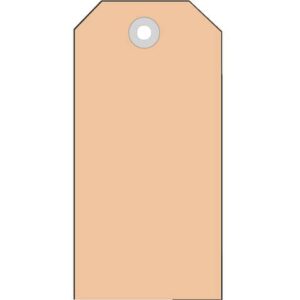 6014 Anhängezettel 45x90 mm mit Kunststofföse 1000 St.