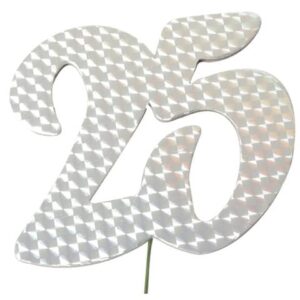 Jubiläumszahl 25 silber