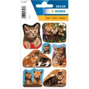 3527 Sticker DECOR Katzenfotos