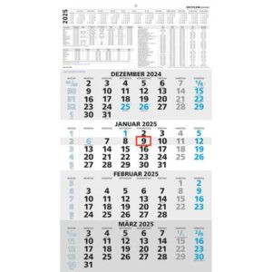 4-Monats-Wandkalender 959 - 33 x 59 cm, schwarz/blau