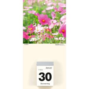 Kalenderrückwand Blumen - 14,5 x 29,5 cm, 2-fach sortiert