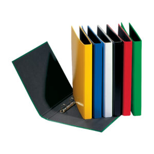 Ringbuch Basic Colours - A4, 2-Ring, Ring-Ø 20mm, 4 farbig sortiert