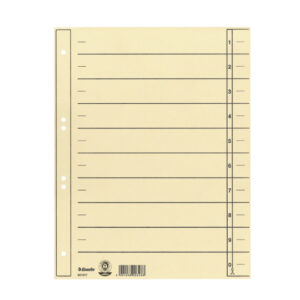 Trennblatt - A4 Überbreite, Karton, chamois, 100 Stück