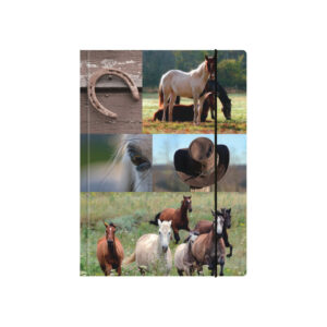 Sammelmappe Pferde - A3