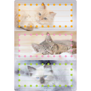 5569 Buchetikett "Katzen", Spezial-Papier, 76 x 35 cm, bunt