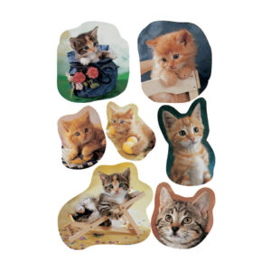 5747 Sticker DECOR fotogene Kätzchen
