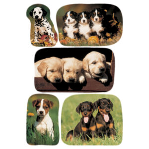 3528 Sticker DECOR Hundewelpenfotos