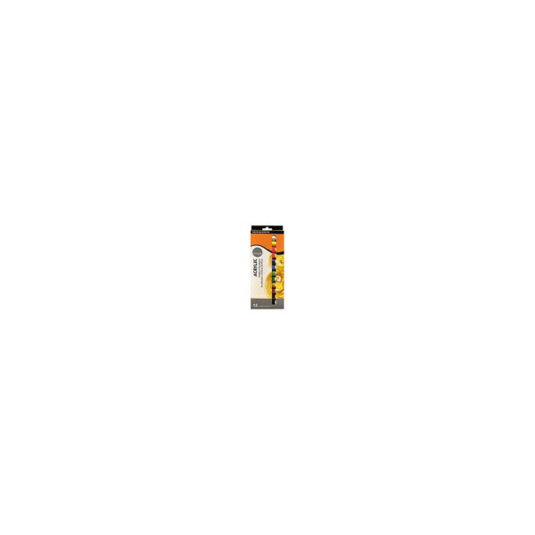 Acrylfarbe Set - 12x 12 ml sortiert