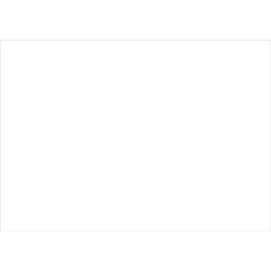 Karteikarten - DIN A5, blanko, weiß, 100 Karten