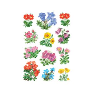 3582 Sticker DECOR Gebirgsblumen
