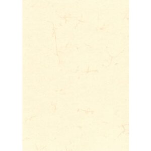 Dokumentenpapier (Elefantenhautpapier), 110g/qm, weiß, DIN A4