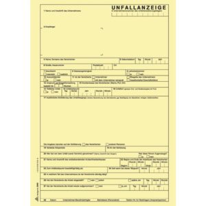 Unfallanzeige für Arbeitsunfall - SD, 1 x 5 Blatt, DIN A4, + 1 Seite Hinweise