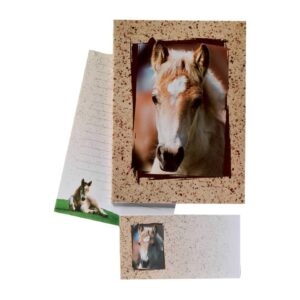 Briefpapier - Motiv Fohlen, liniert, 10 Umschläge/10 Briefbögen