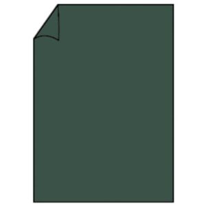 Coloretti Briefbogen - A4, 80g, 10 Blatt, forest