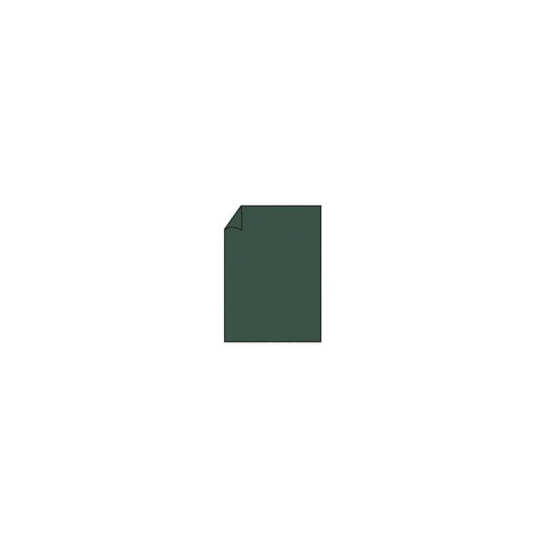 Coloretti Briefbogen - A4, 165g, 10 Blatt, forest