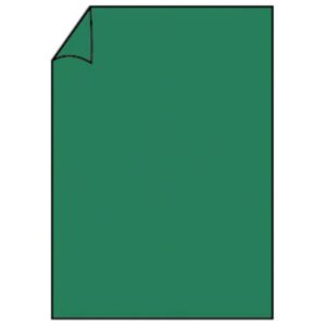 Briefbogen Paperado - A4, 100 g/qm, tannengrün gerippt