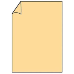Briefbogen Paperado - A4, 100 g/qm, melon gerippt