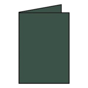 Coloretti Doppelkarte - B6 hoch, 5 Stück, forest