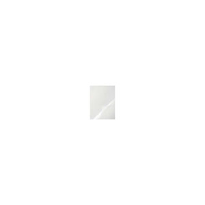 Klemmschienenhülle - transparent, 1 - 100 Blatt, Hartfolie, transparent, 50 Stück