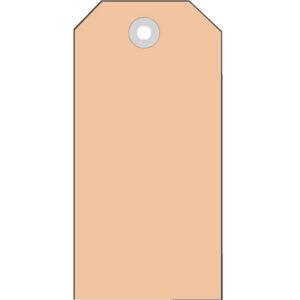 6014 Anhängezettel 45x90 mm mit Kunststofföse 1000 St.