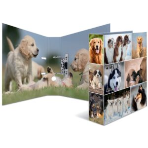 7165 Motivordner Hund - A4, 70 mm