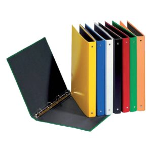 Ringbuch Basic Colours - A4, 4-Ring, Ring-Ø 25mm, 4 farbig sortiert