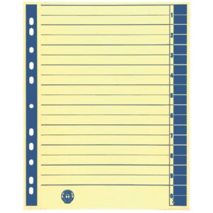 Trennblätter - A4 Überbreite, blau, farbiger Rahmendruck, 100 Stück