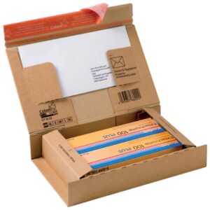 Paket Versandkarton 262 x 165 x 50 mm, braun