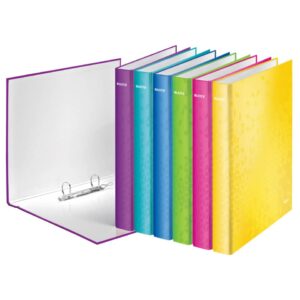 4241 Ringbuch WOW, A4 maxi, PP, 2 Ringe Ø25 mm, sortiert