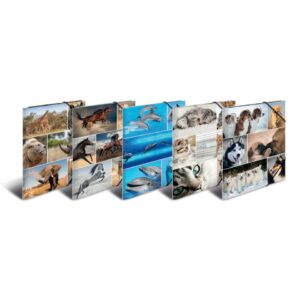 19346 Sammelmappe Animals - A4, Karton, mit Gummizug, sortiert