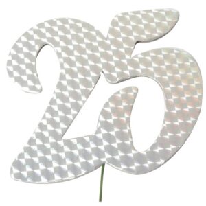 Jubiläumszahl 25 silber