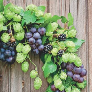 Herbst Lunchservietten - 33 x 33 cm, 20 Stück