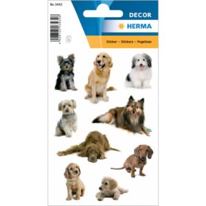 3432 Sticker DECOR Hundefotos
