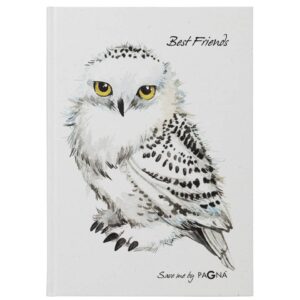 Freundebuch Save me No.2 - Eule, 60 Seiten