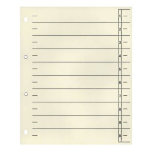 Trennblätter - A4 Überbreite, chamois, 100 Stück, geöst