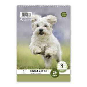 Spiralblock LIN1 A5 40 Blatt 70g/qm 5/5/5mm liniert farbig