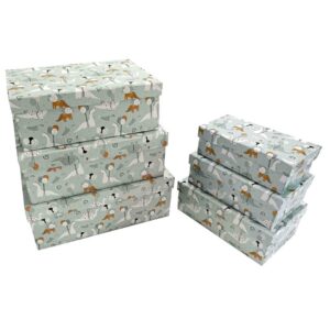 Geschenkkarton Kind Dinoparty - 6-tlg. rechteckig