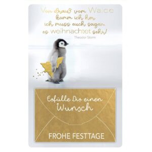 Weihnachtskarte mit Geldscheinfach - inkl. Umschlag