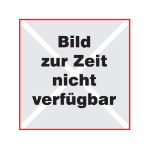 Heftstreifen Filefix® aus PET, selbstklebend, 25 x 295 mm, transparent, 50 Stück