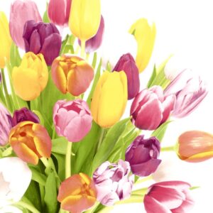 Lunchservietten Frühling Tulpen - 33 x 33 cm, 20 Stück