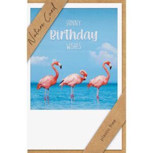 Geburtstagskarte Nature Card - inkl. Umschlag