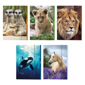 Sammelmappe Tiere - A3, sortiert