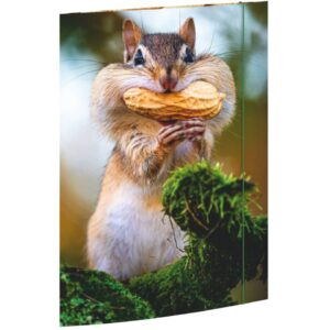 Gummizugmappe - A3, Chipmunk