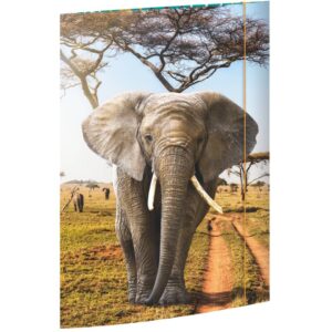 Gummizugmappe - A3, Elefant