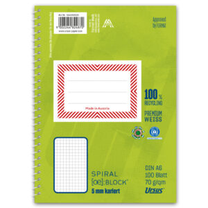 Ringbuchblock - A6, 100 Blatt, 70 g/qm, kariert