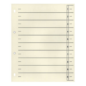 Trennblätter - A4 Überbreite, chamois, 10 Stück, verstärkt