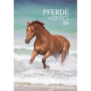 Bildkalender Pferde - 23,7 x 34 cm