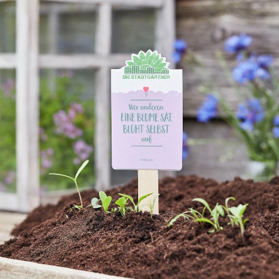 Saatgrüße - Wer anderen eine Blume sät, blüht selbst auf - mit Wildblumensaat