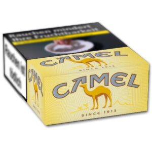 Camel Yellow 6XL